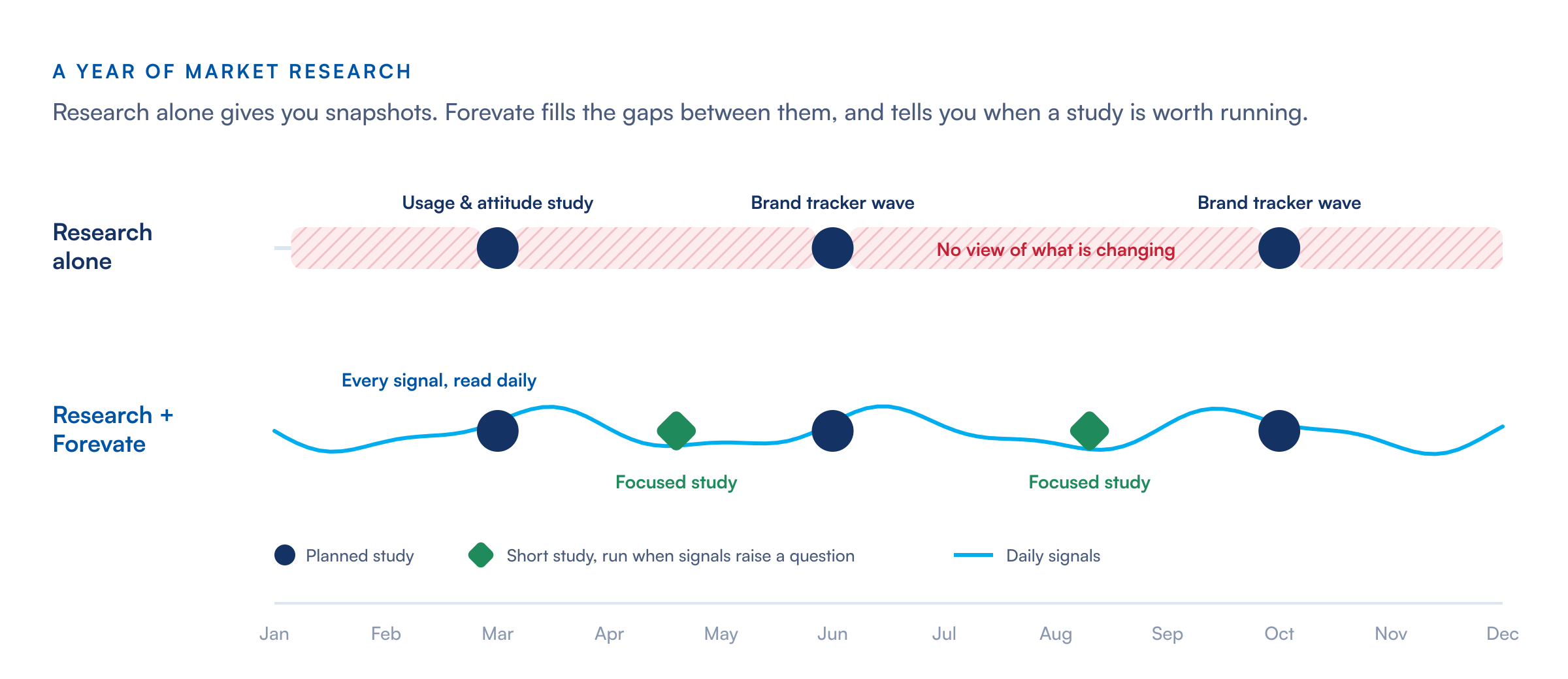 A year of market research with and without Forevate: research alone gives three snapshots with blind spots between them; with Forevate, signals are read daily, the planned studies stay, and two short focused studies are added when signals raise a question